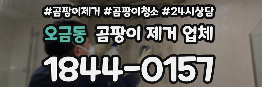 오금동 곰팡이 제거 업체