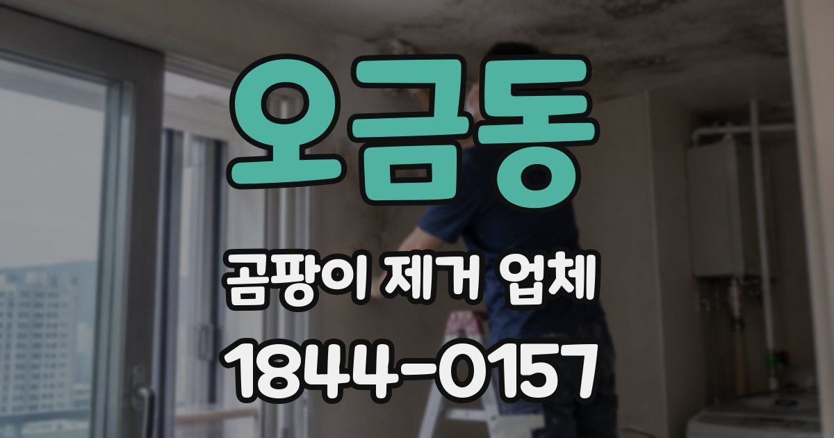 오금동 곰팡이 제거 업체