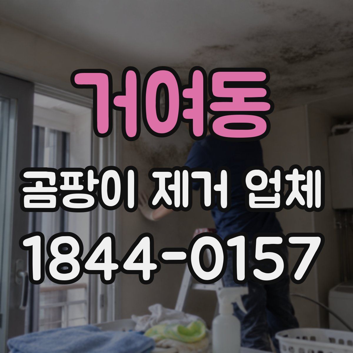 거여동 곰팡이 제거 업체