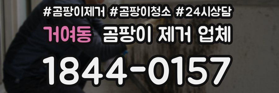거여동 곰팡이 제거 업체