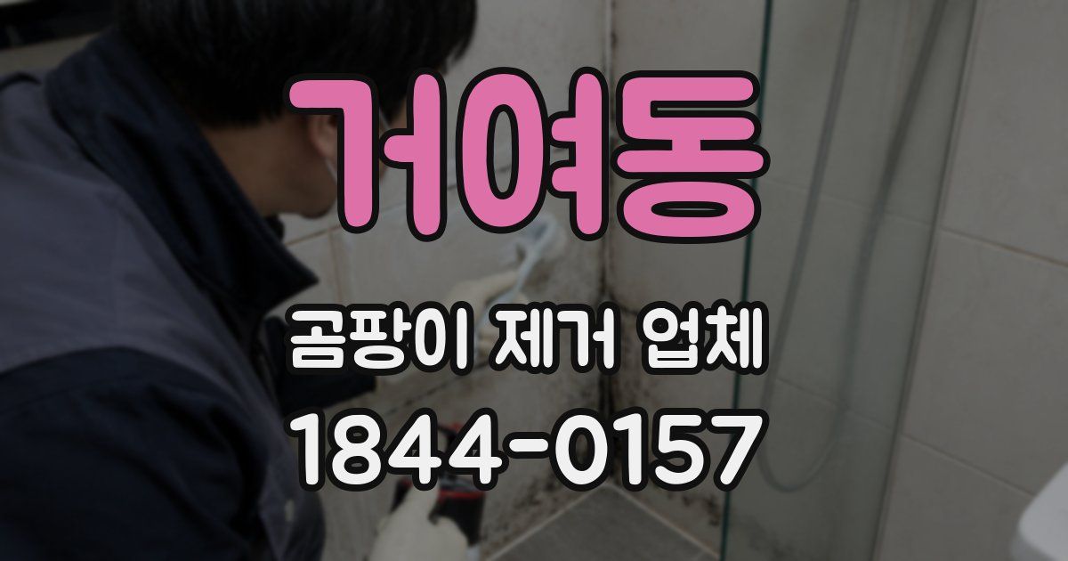 거여동 곰팡이 제거 업체