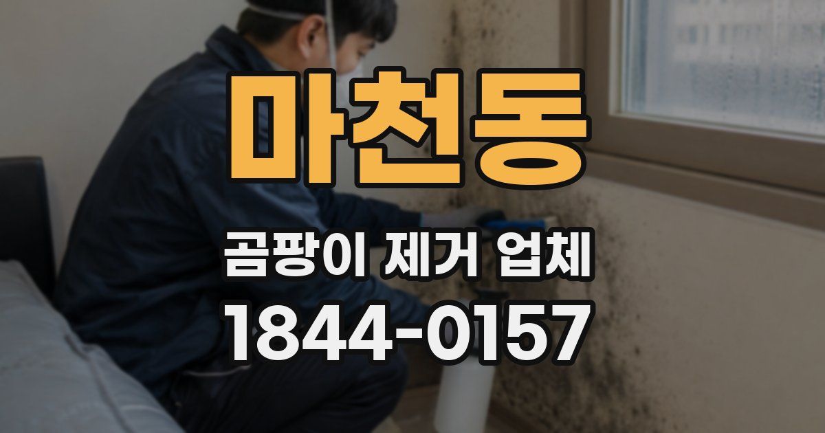 마천동 곰팡이 제거 업체