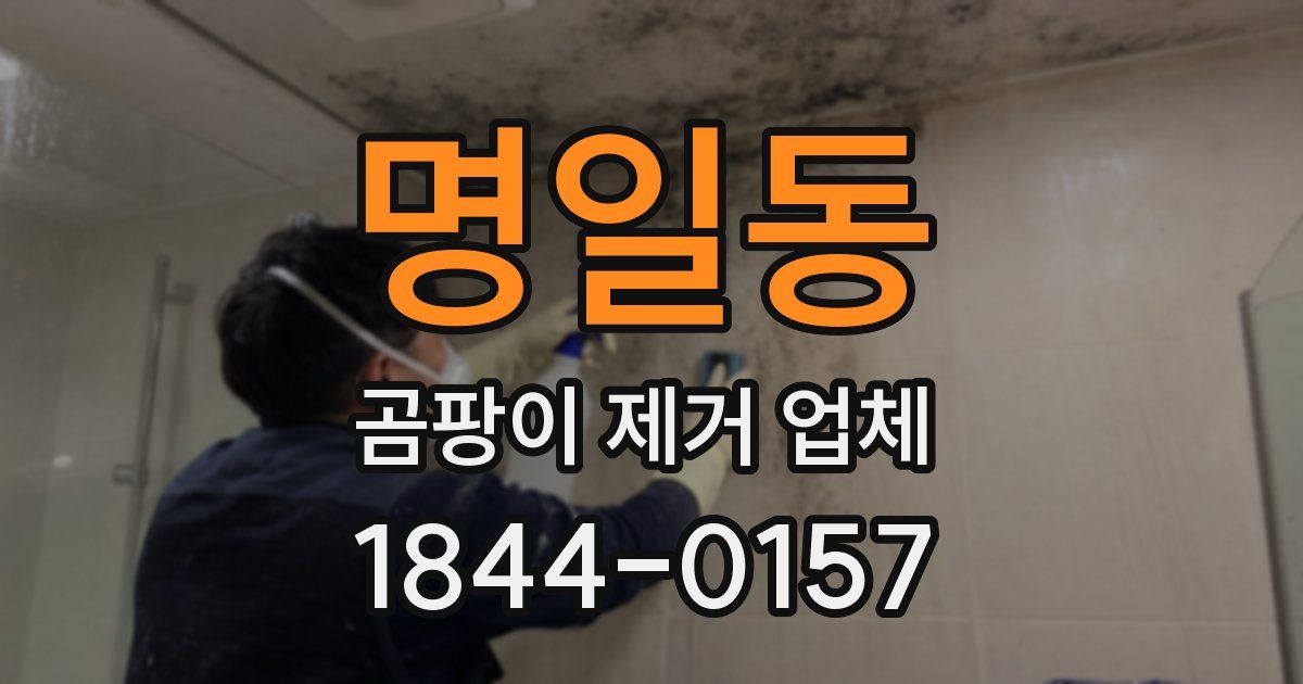 명일동 곰팡이 제거 업체