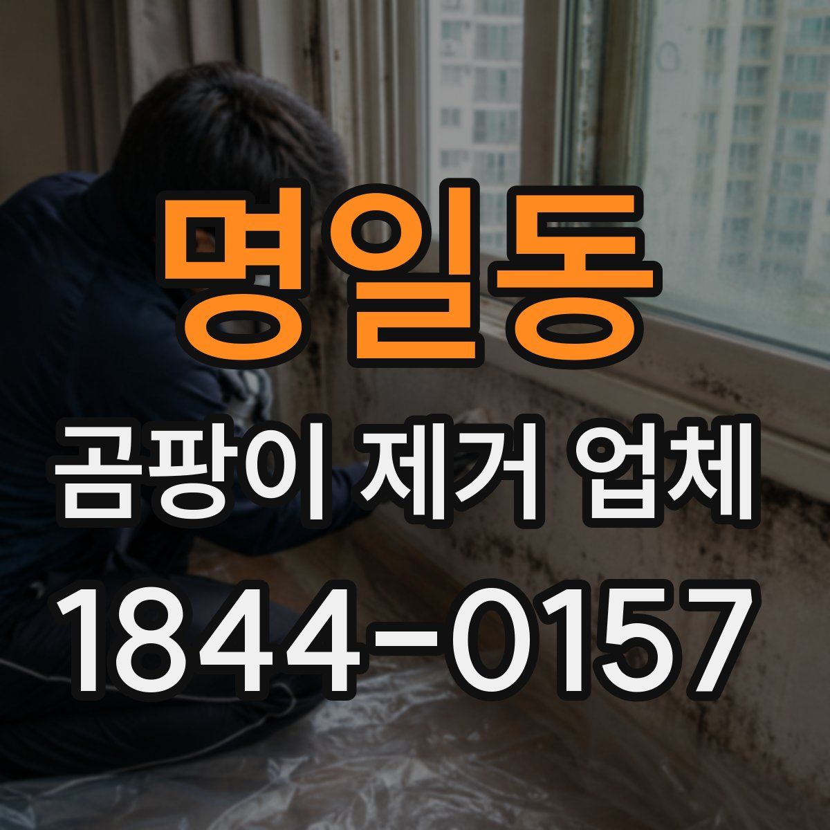 명일동 곰팡이 제거 업체