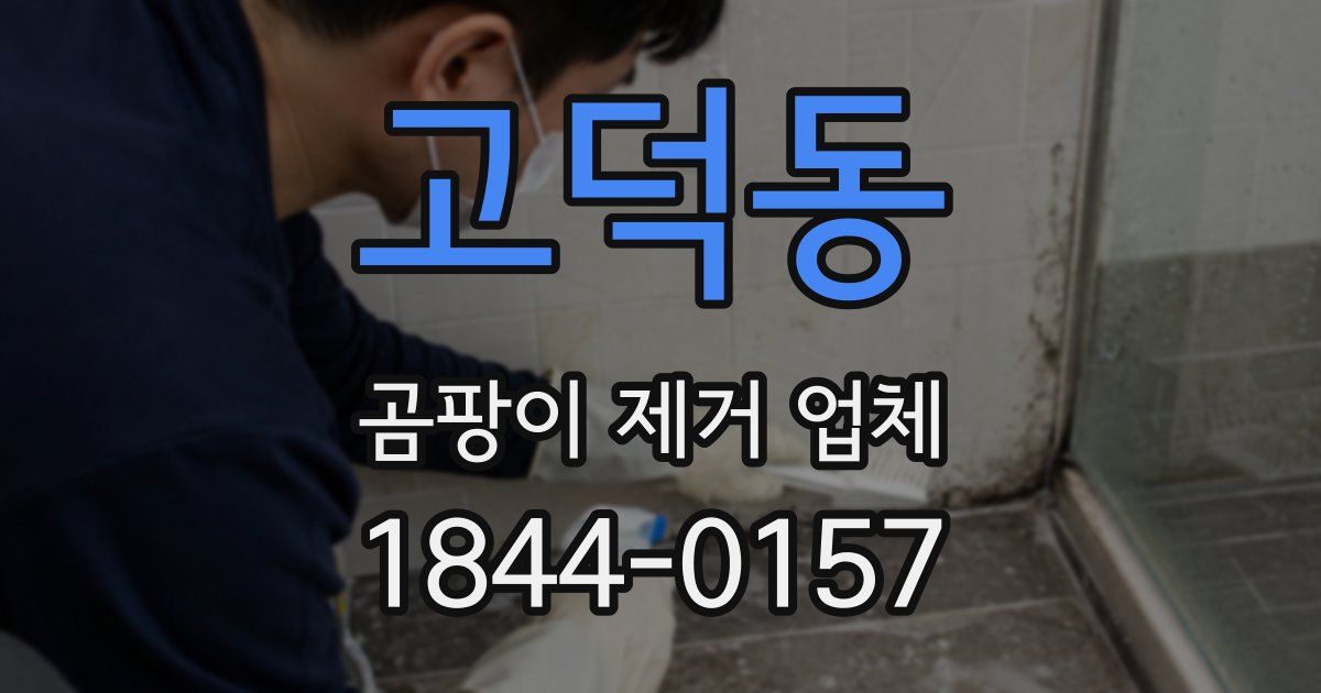 고덕동 곰팡이 제거 업체