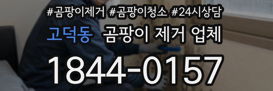 고덕동 곰팡이 제거 업체
