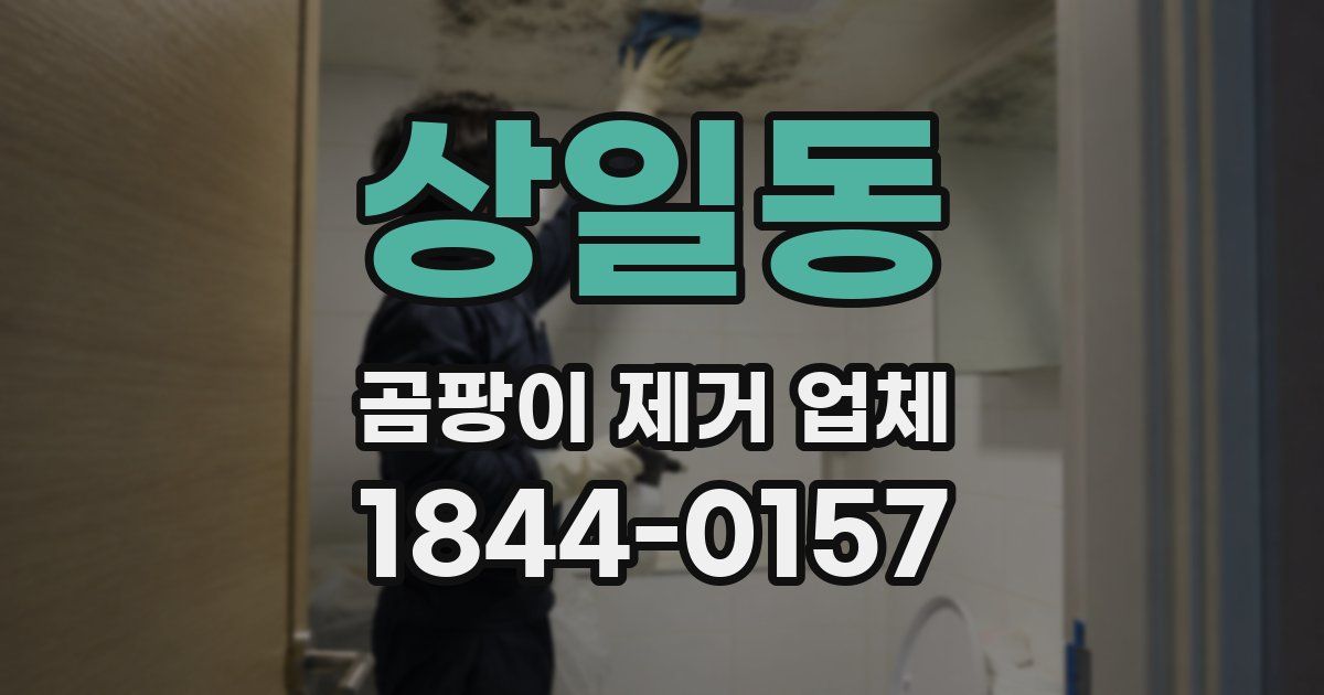 상일동 곰팡이 제거 업체