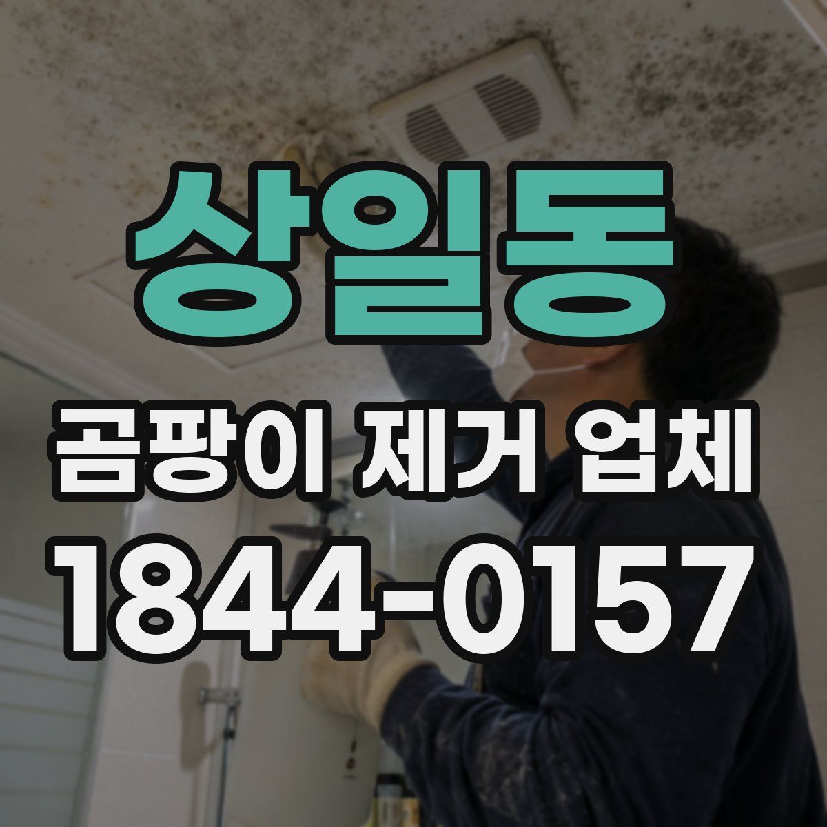 상일동 곰팡이 제거 업체