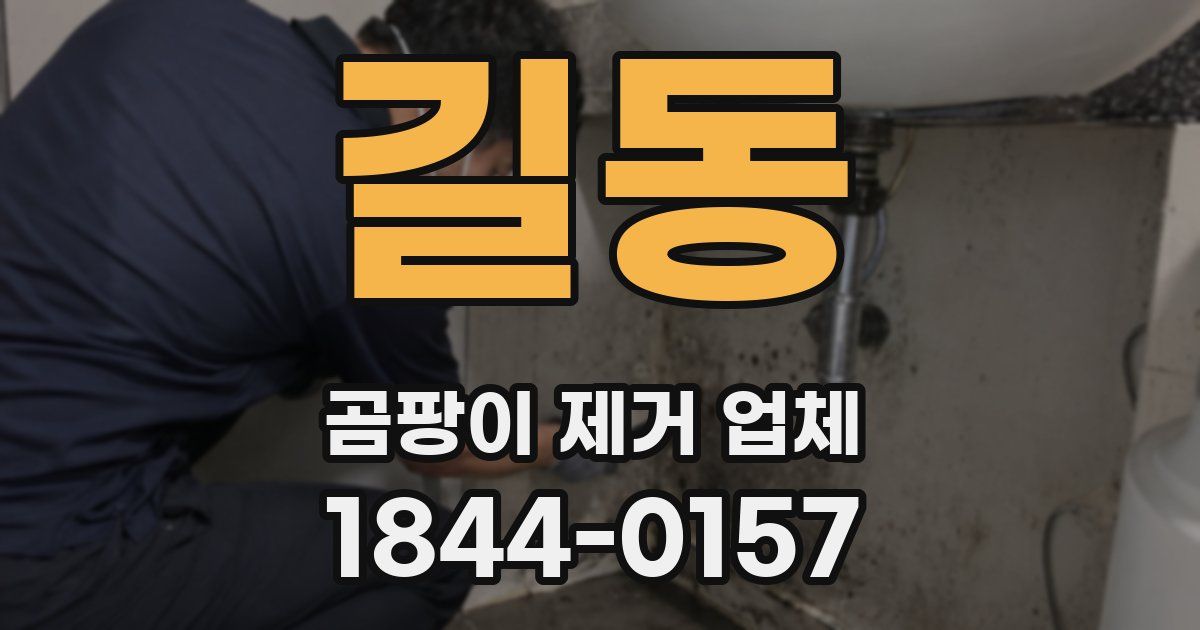 길동 곰팡이 제거 업체