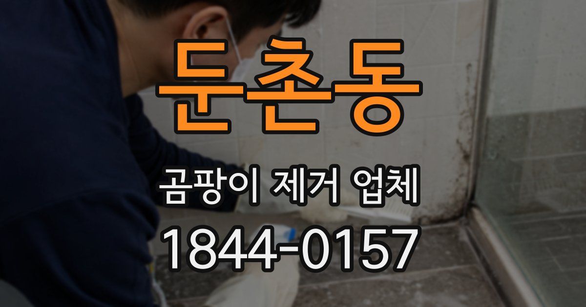 둔촌동 곰팡이 제거 업체