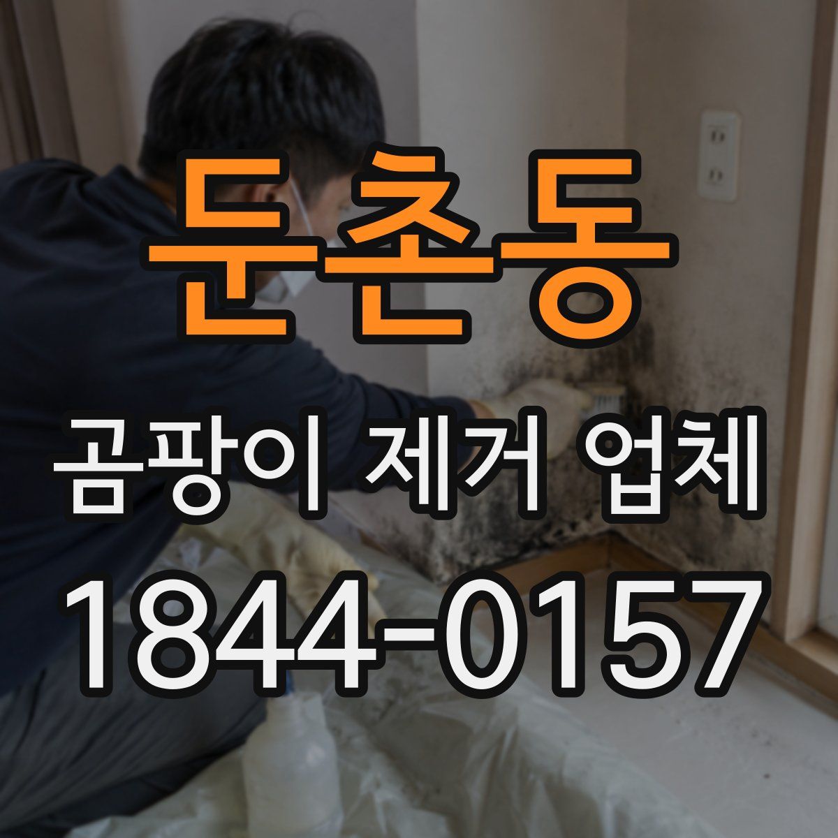 둔촌동 곰팡이 제거 업체