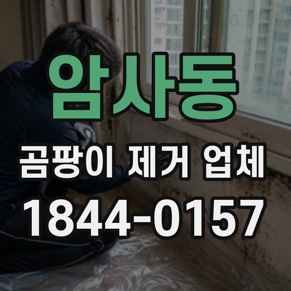 암사동 곰팡이 제거 업체 표면 곰팡이와 내부 오염을 나눠 보는 이유