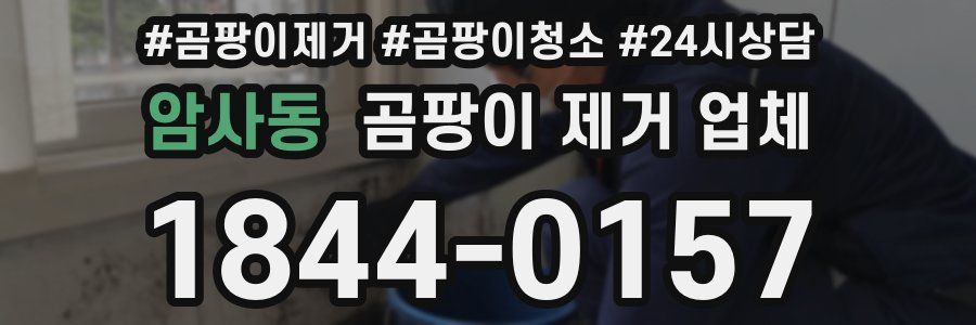 암사동 곰팡이 제거 업체
