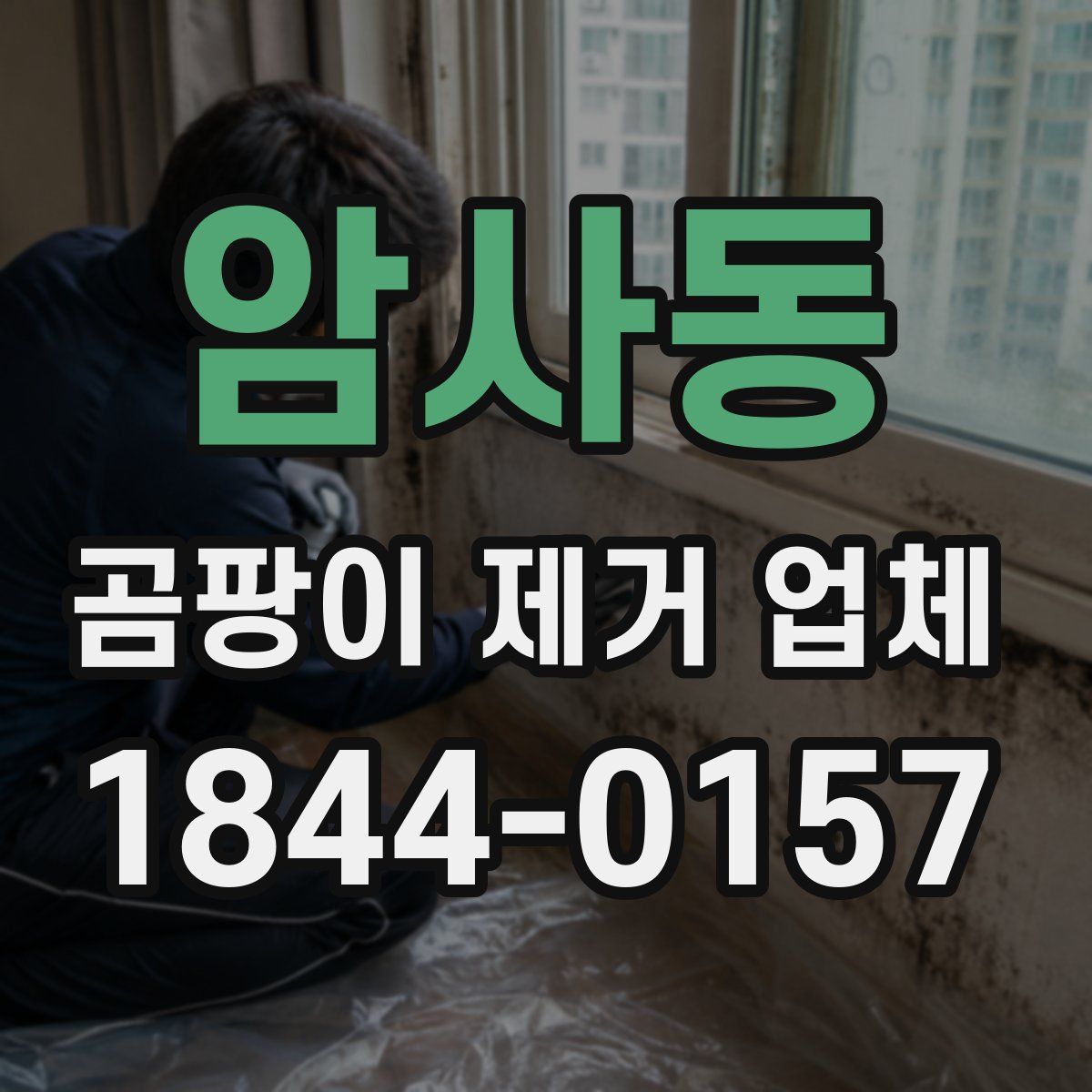 암사동 곰팡이 제거 업체