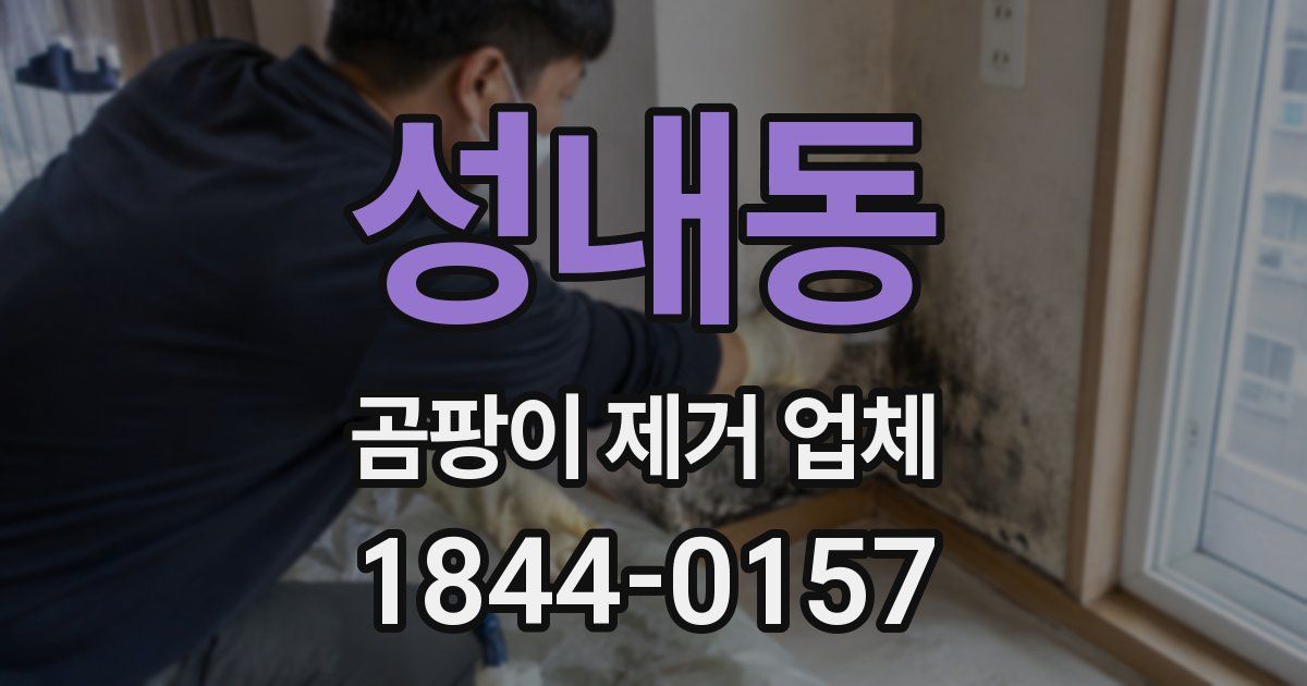 성내동 곰팡이 제거 업체