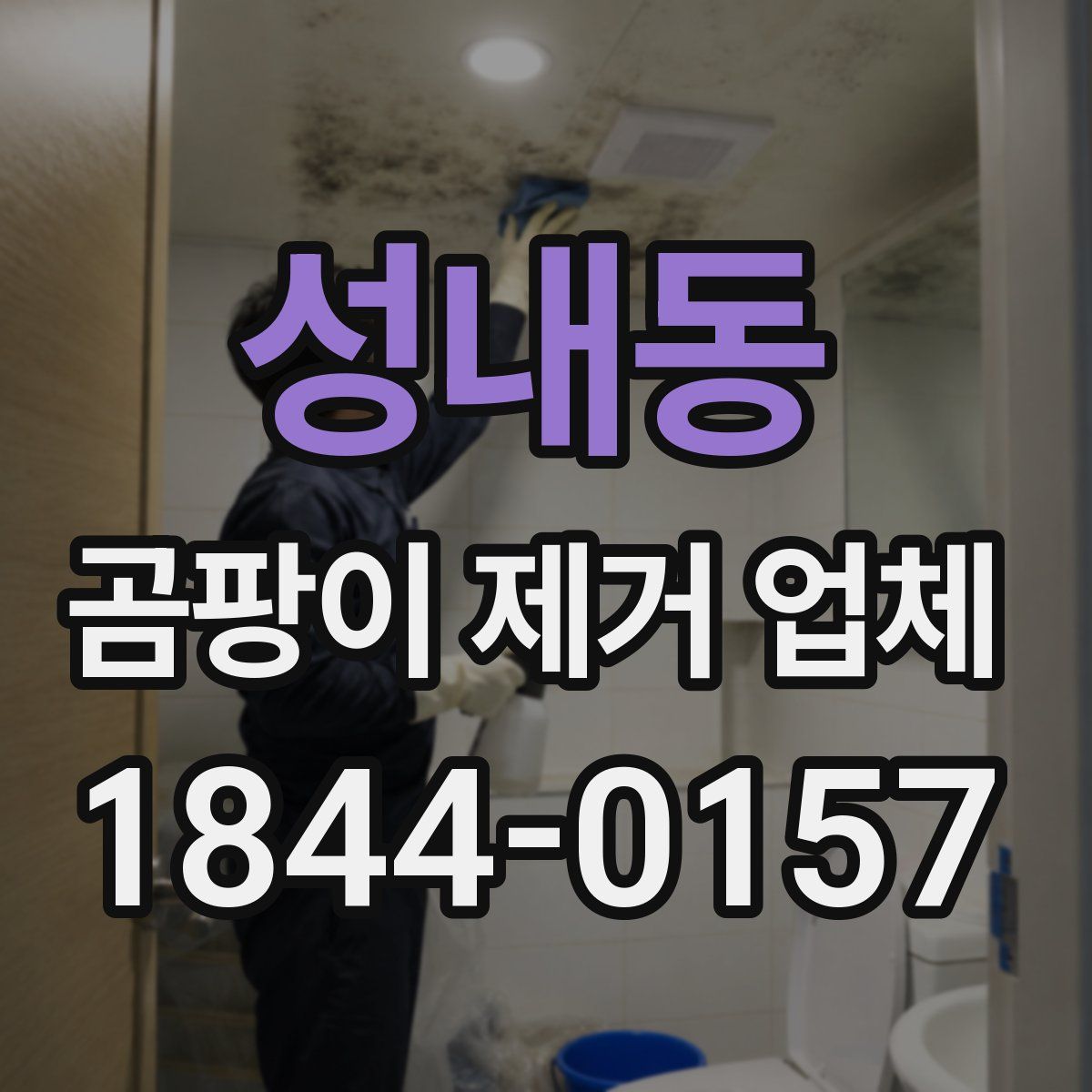 성내동 곰팡이 제거 업체