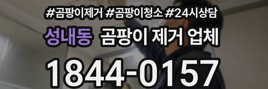성내동 곰팡이 제거 업체