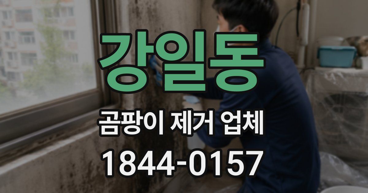 강일동 곰팡이 제거 업체