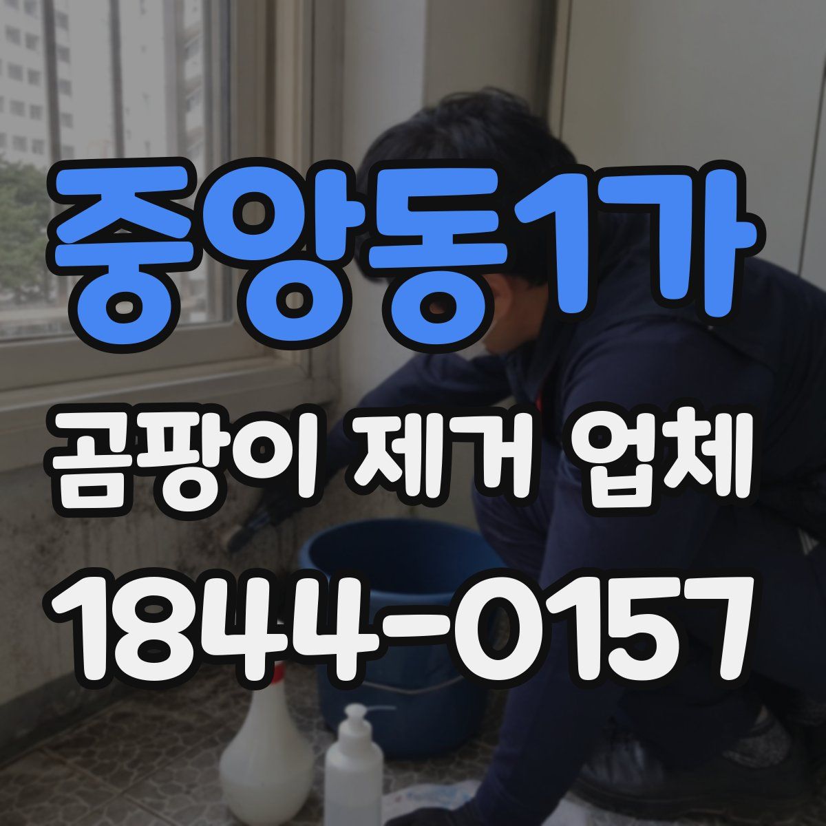 중앙동1가 곰팡이 제거 업체