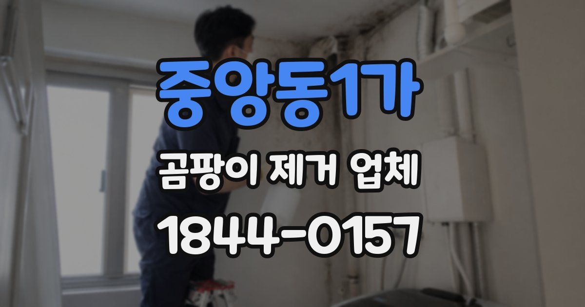 중앙동1가 곰팡이 제거 업체