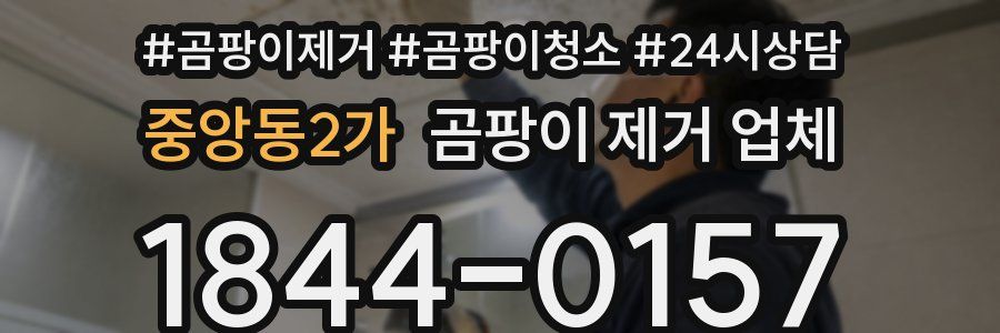 중앙동2가 곰팡이 제거 업체