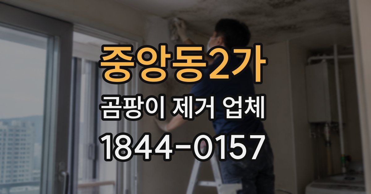 중앙동2가 곰팡이 제거 업체