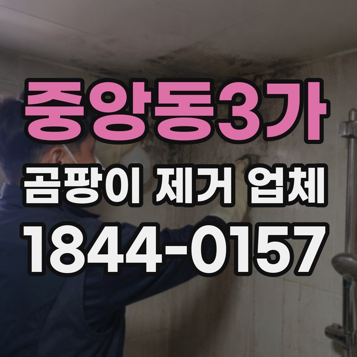 중앙동3가 곰팡이 제거 업체 셀프 청소로 해결이 어려운 상황의 특징