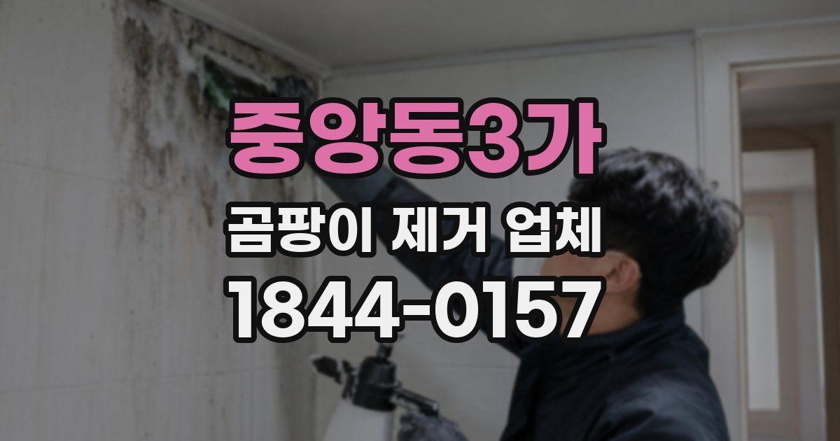 중앙동3가 곰팡이 제거 업체