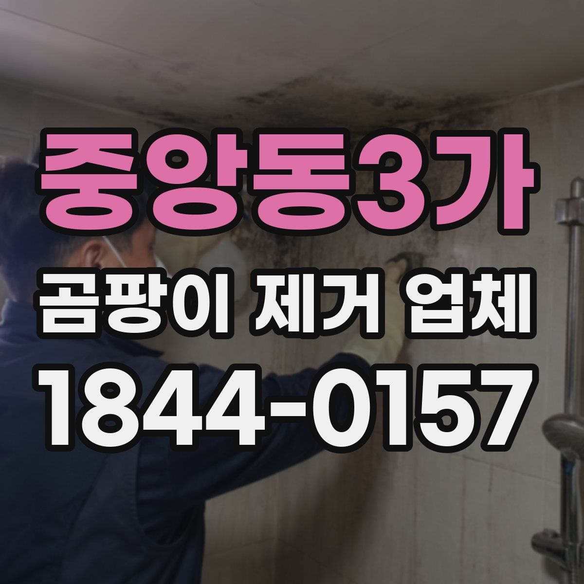 중앙동3가 곰팡이 제거 업체