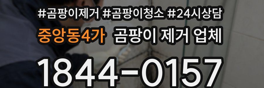 중앙동4가 곰팡이 제거 업체