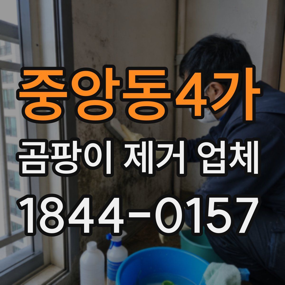 중앙동4가 곰팡이 제거 업체