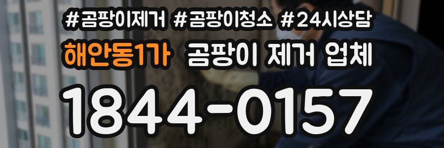 해안동1가 곰팡이 제거 업체