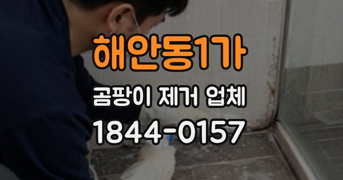 해안동1가 곰팡이 제거 업체