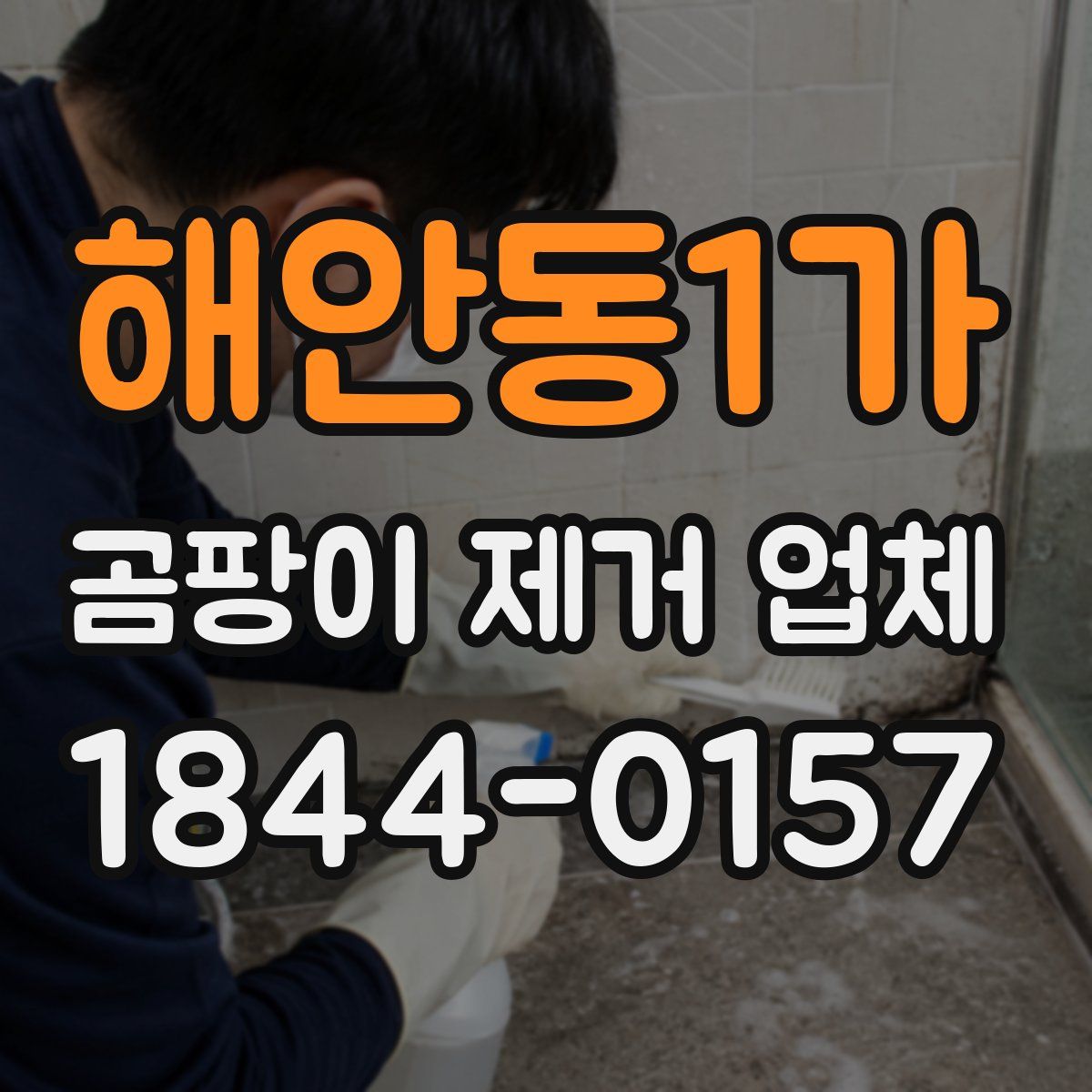해안동1가 곰팡이 제거 업체