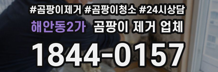 해안동2가 곰팡이 제거 업체