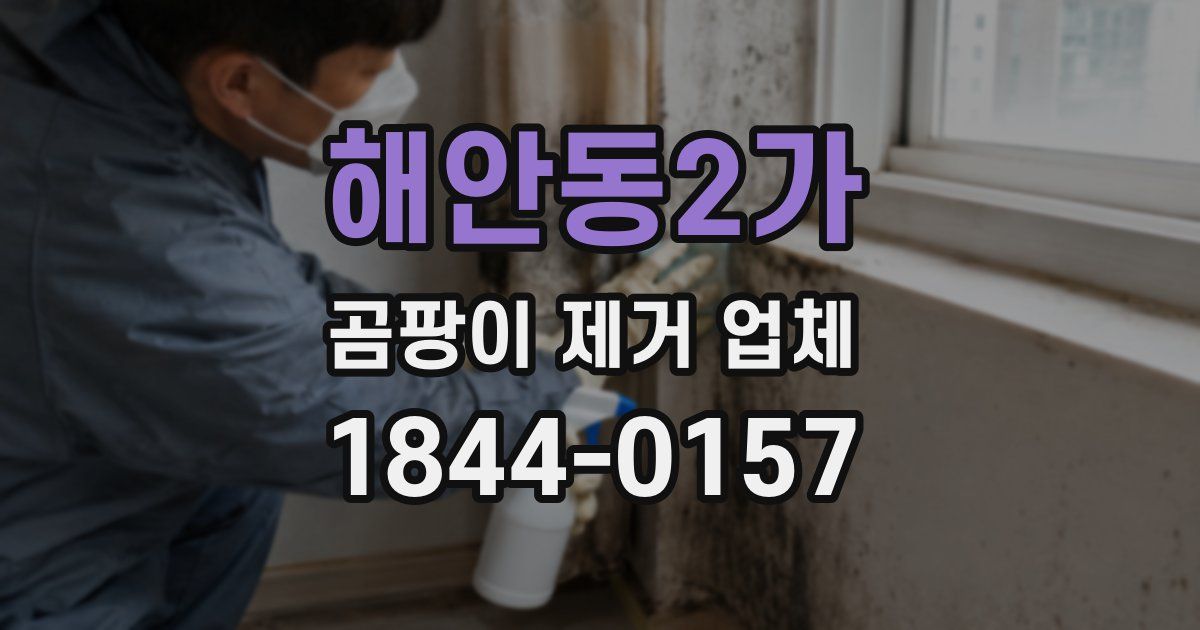 해안동2가 곰팡이 제거 업체