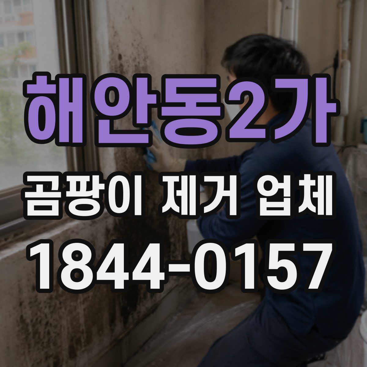 해안동2가 곰팡이 제거 업체