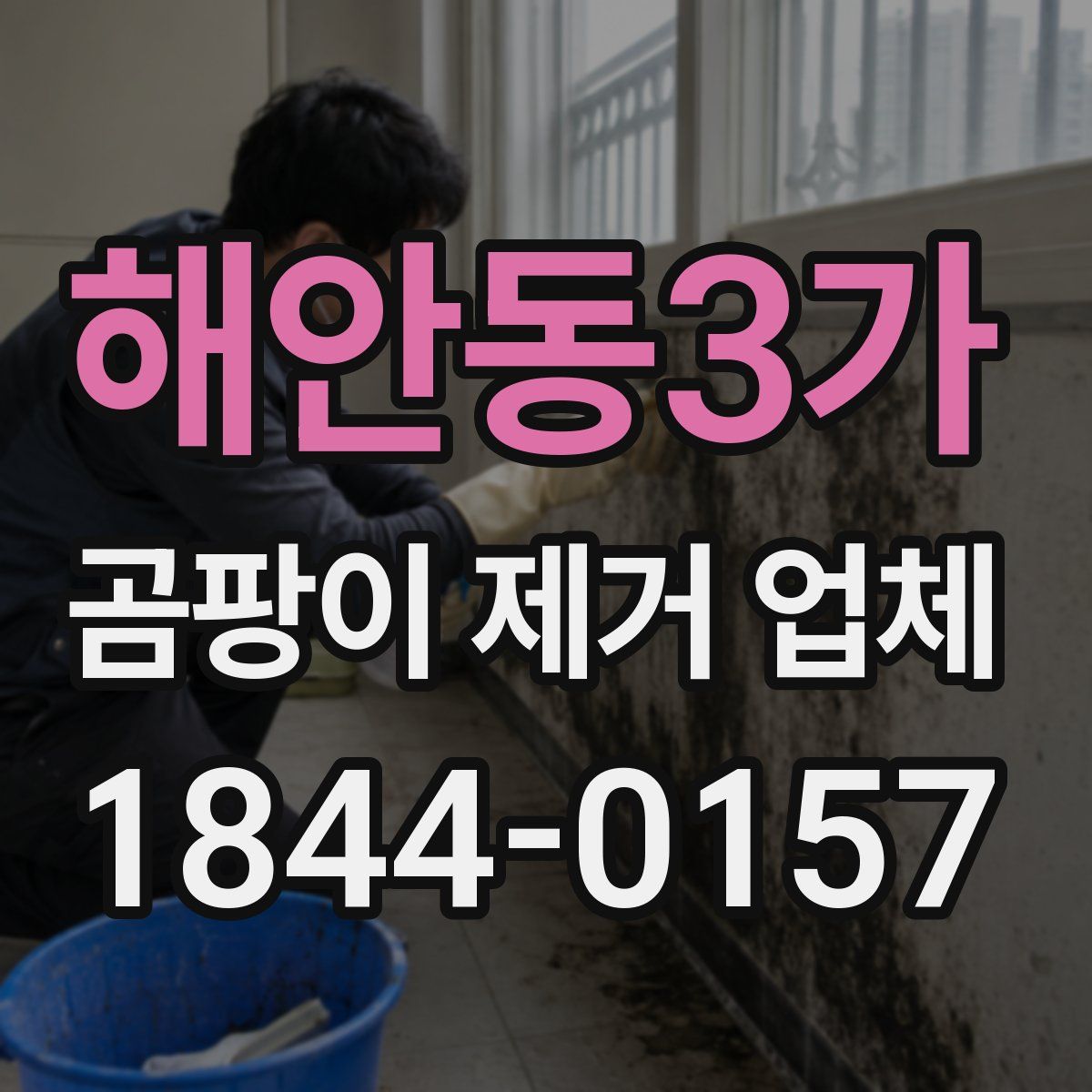 해안동3가 곰팡이 제거 업체