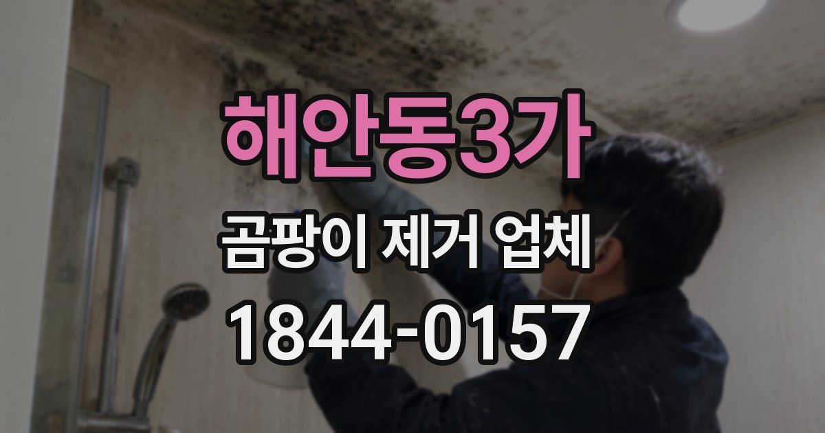 해안동3가 곰팡이 제거 업체