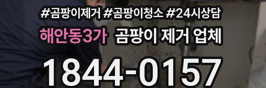 해안동3가 곰팡이 제거 업체