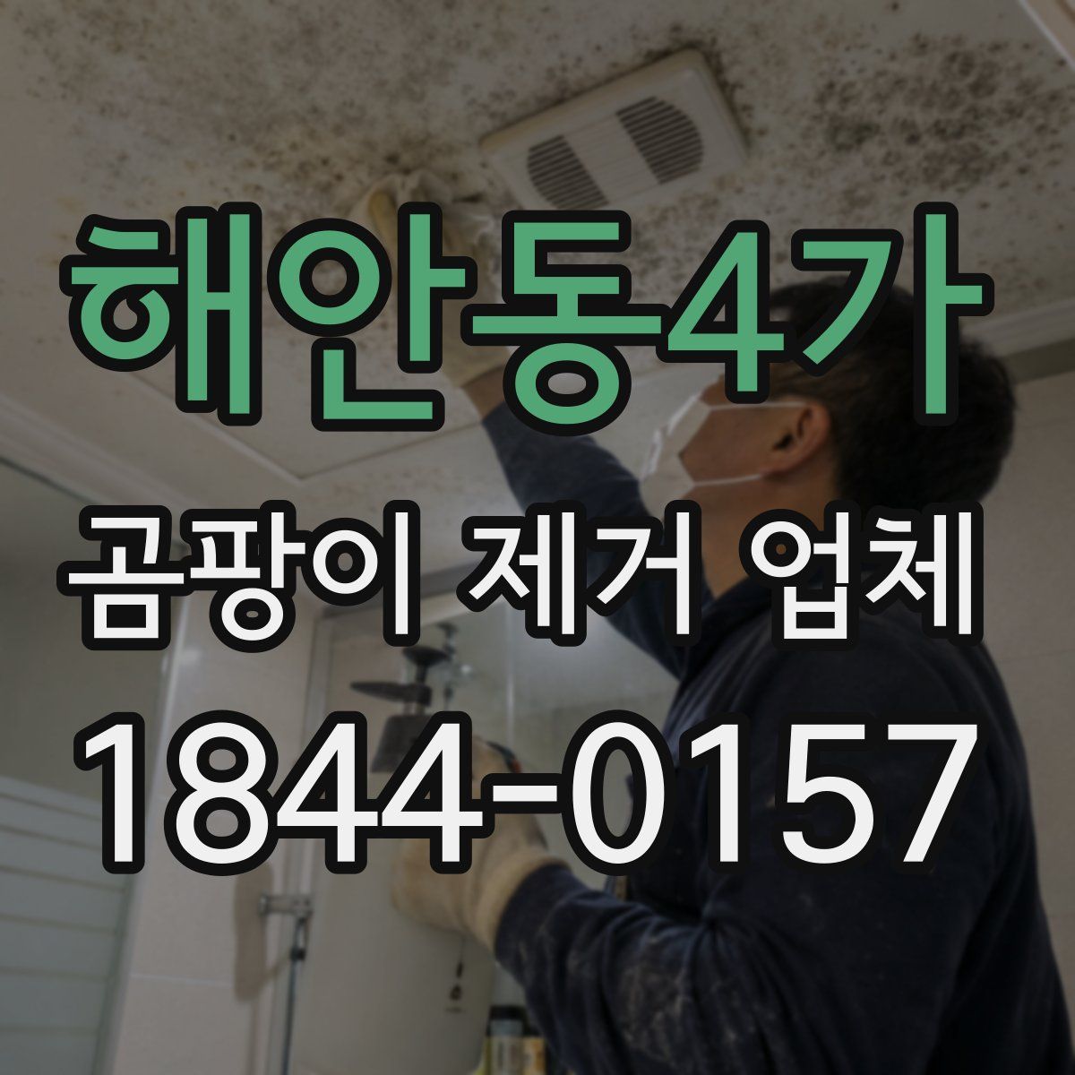 해안동4가 곰팡이 제거 업체
