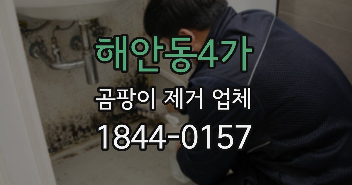 해안동4가 곰팡이 제거 업체