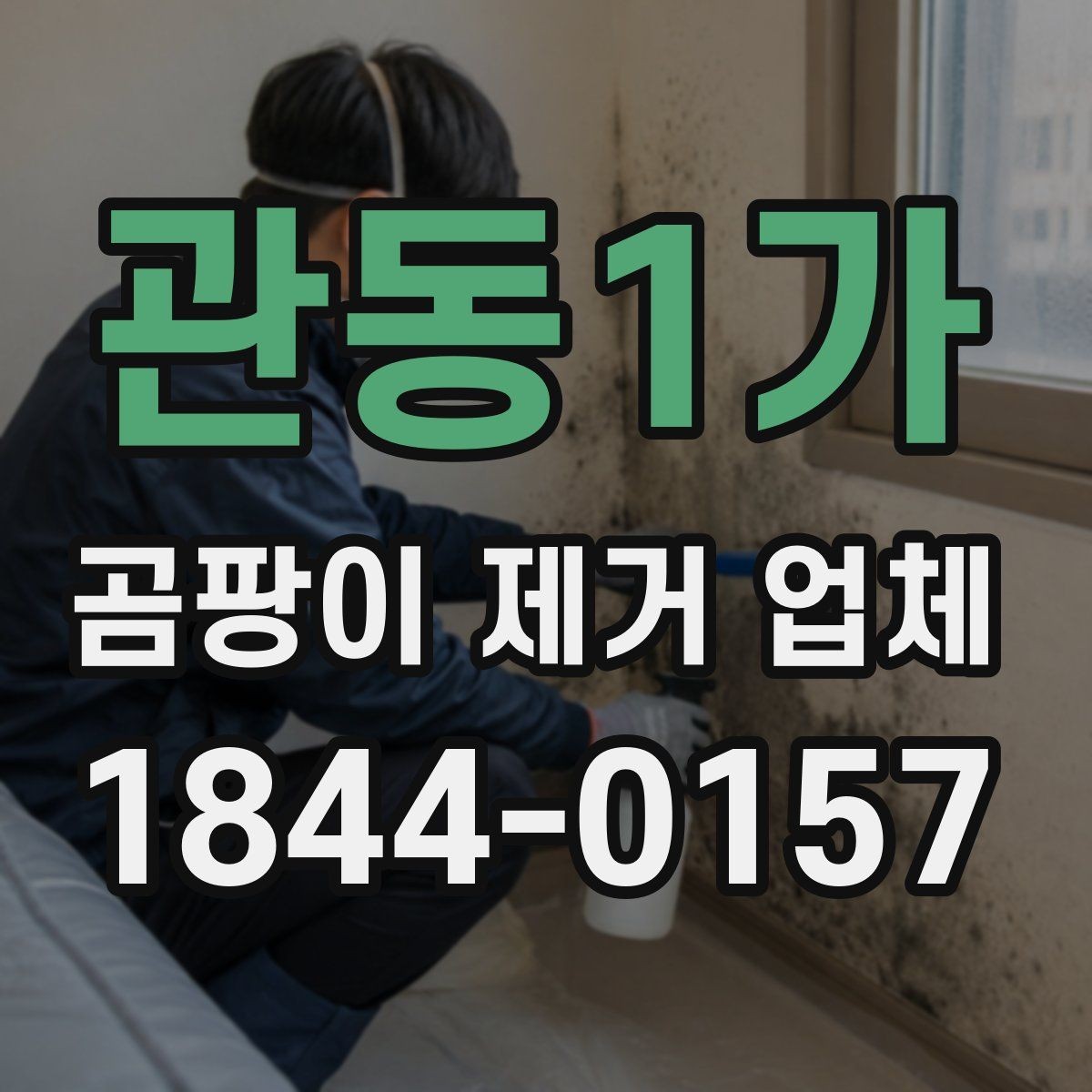 관동1가 곰팡이 제거 업체 색이 짙은 곰팡이와 옅은 오염의 차이