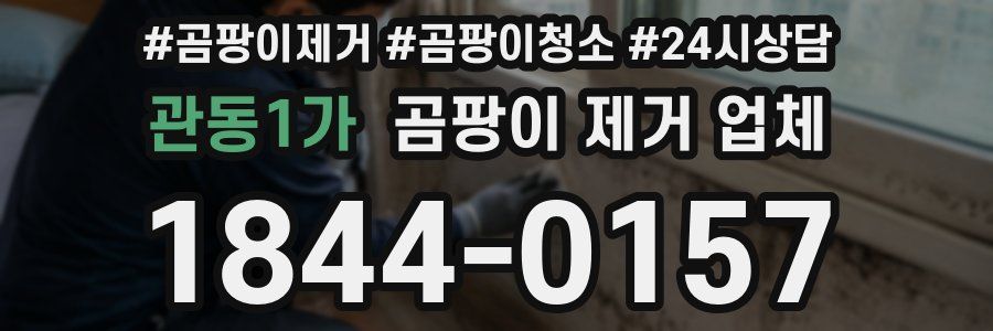 관동1가 곰팡이 제거 업체