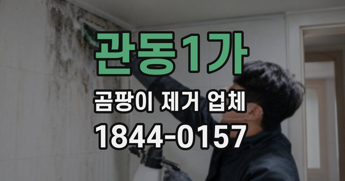 관동1가 곰팡이 제거 업체