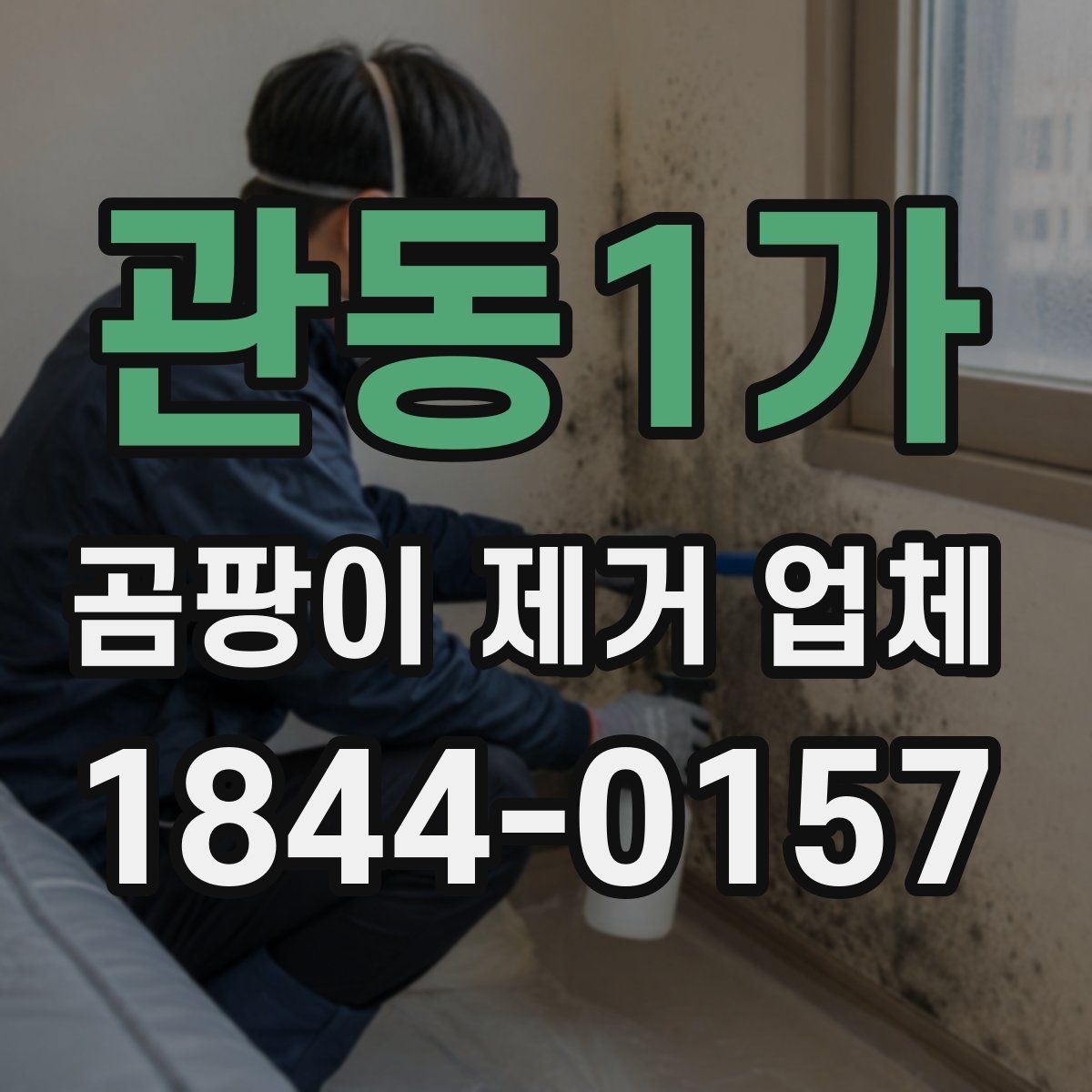 관동1가 곰팡이 제거 업체