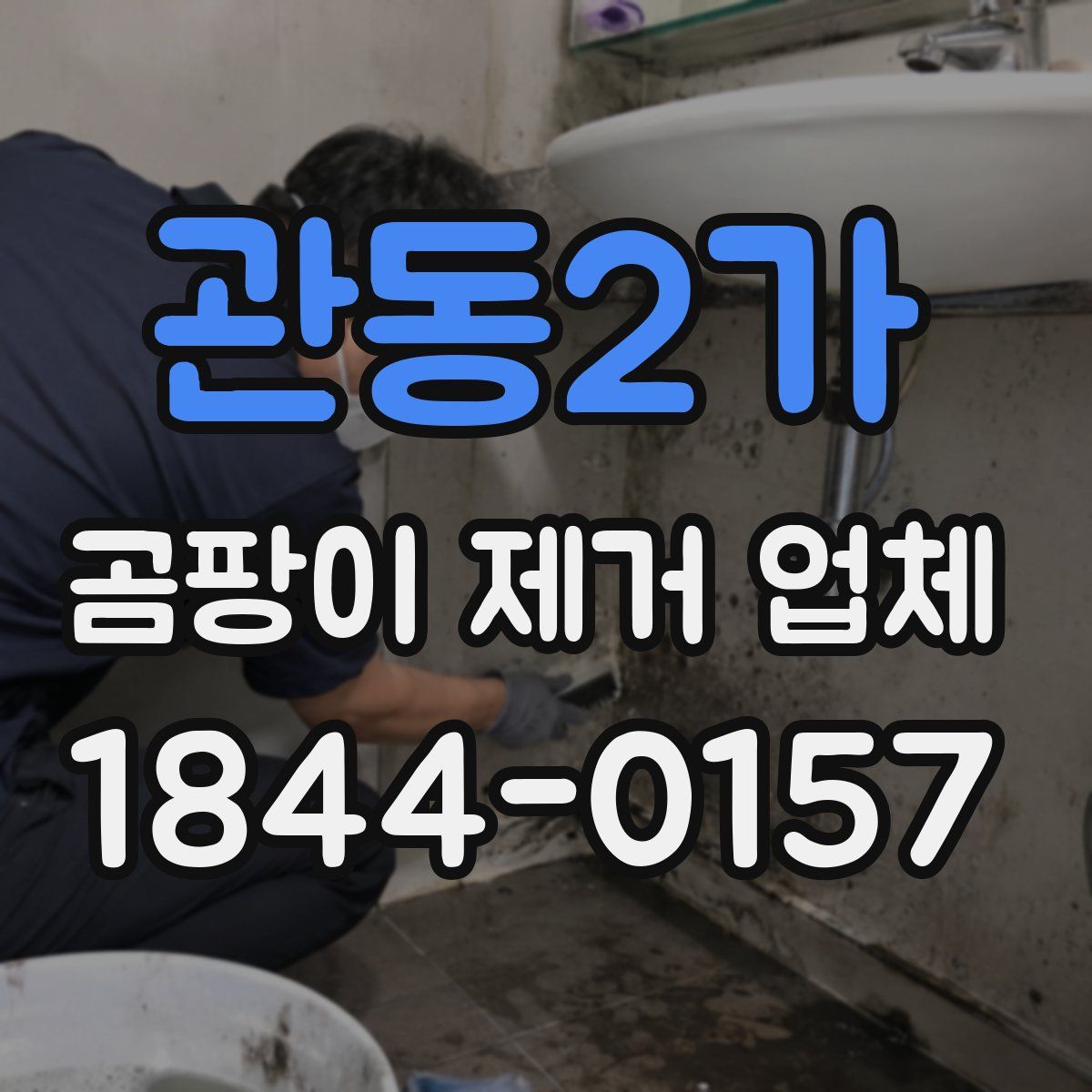 관동2가 곰팡이 제거 업체