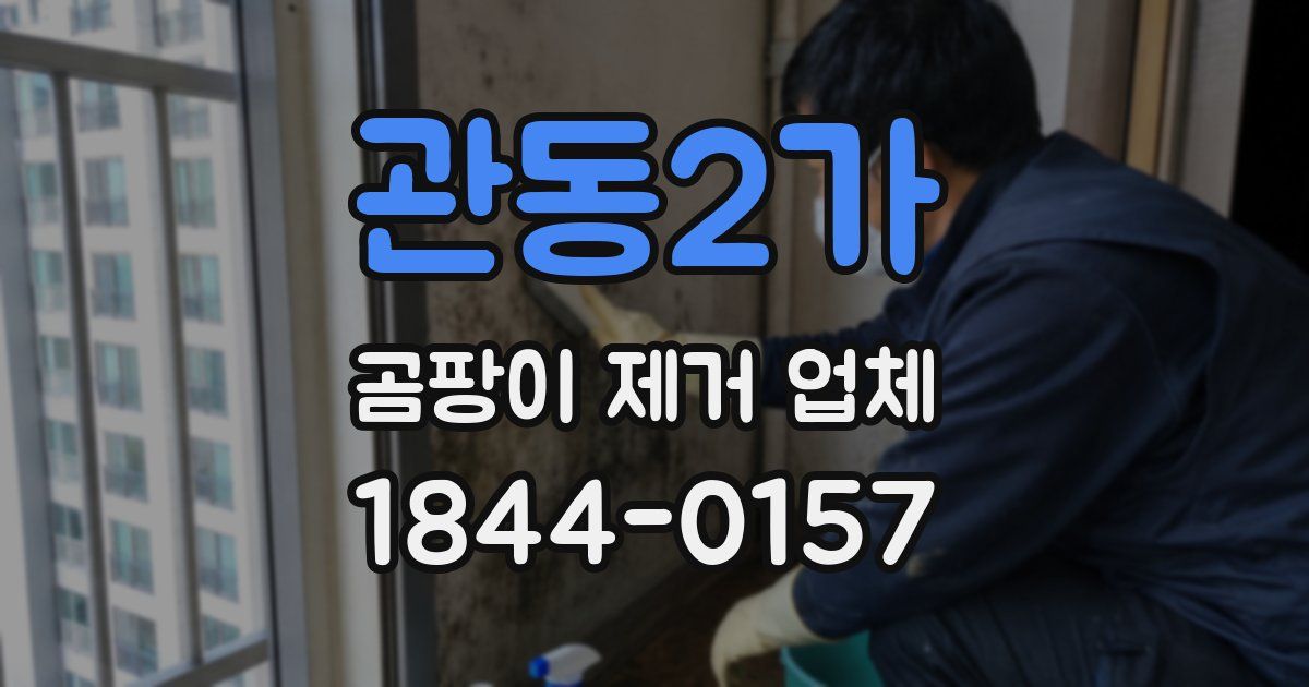관동2가 곰팡이 제거 업체