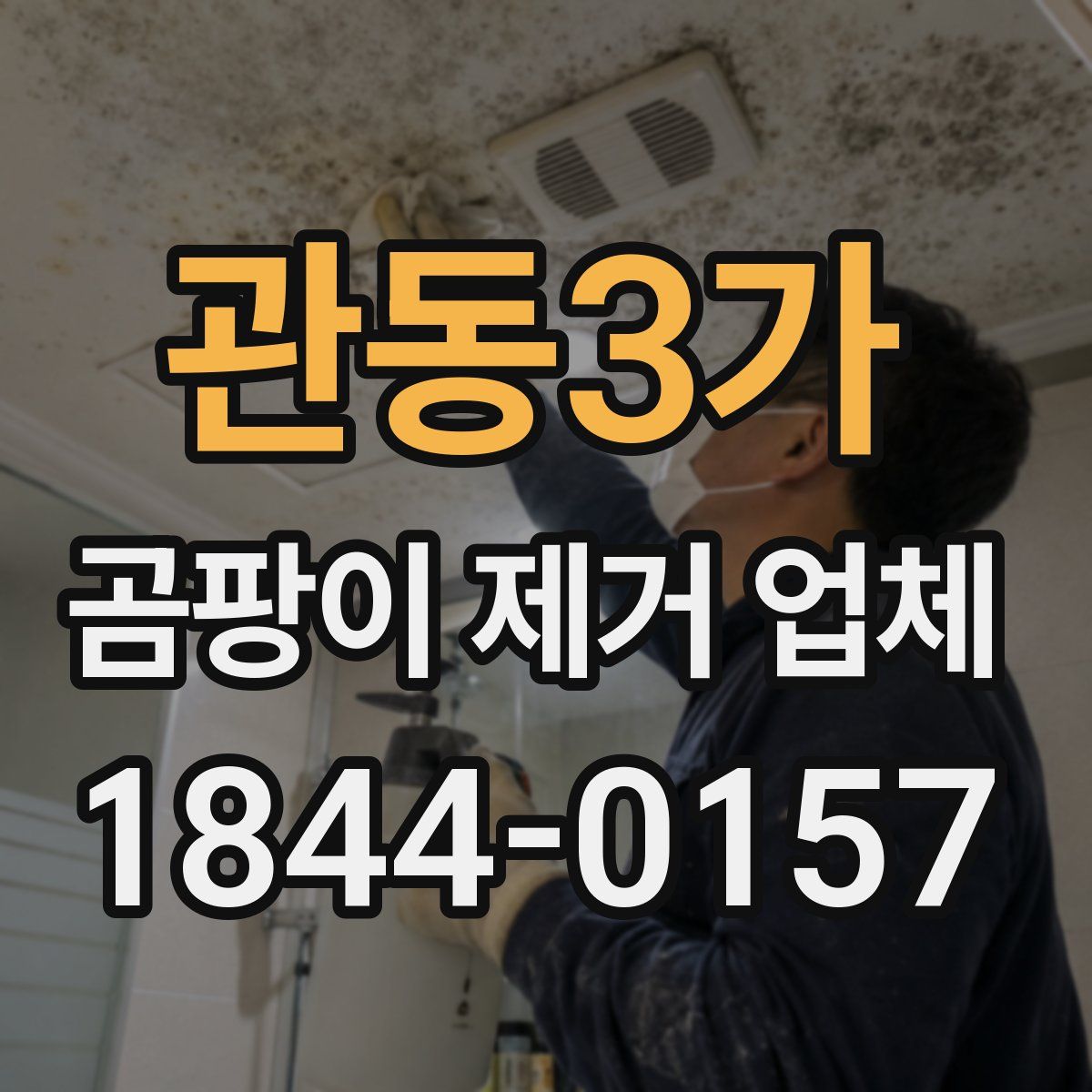 관동3가 곰팡이 제거 업체