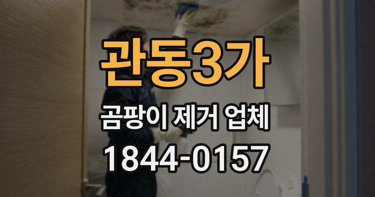 관동3가 곰팡이 제거 업체